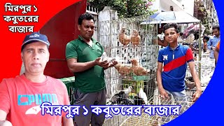 মিরপুর ১ কবুতরের বাজার | Mirpur-1 pigeon hat | কম দামে মিরপুর কবুতরের বাজার | Latest Update part-2