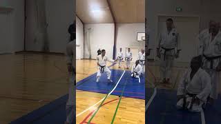 Yamaguchi-Sensei demonstrating gedan-barai uchi-uke part of kata Junro shodan