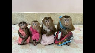 4 Siblings Sit Very Mannerly Waiting Mom To Come & Warming Up For Them ,