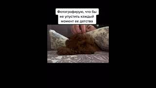 Как же быстро они растут, сейчас тебе уже 6 месяцев 🐻