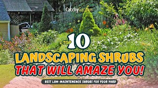 TOP 10 LANDSCAPING SHRUBS THAT WILL AMAZE YOU! 🌿🏡🌱 // Gardening Ideas