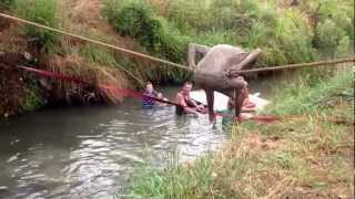 Mud Party waihi 2013