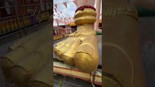 పెరిగినాడు చూడరో  పెద్ద హనుమంతుడు #vellankivlogs #hanuman #vairalvideo #travel #vairalvideo