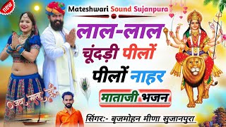 लाल लाल चूंदड़ी पीलों पीलों नाहर !! Mata ji Bhajan  || Singer Brijmohan Meena !! LAL LAL CHUNDI PILO