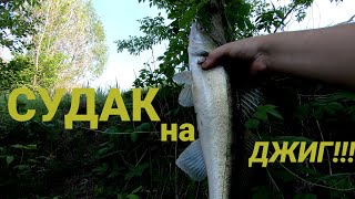 ЛОВЛЯ СУДАКА НА ДЖИГ !!!