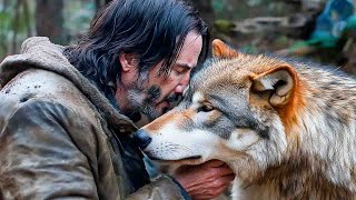 Keanu Reeves Fed Starved Pregnant Wolf All Winter. One Year Later The Unbelievable Happened!