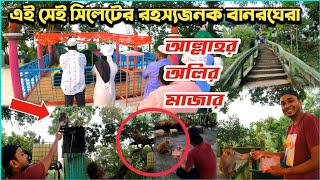 সিলেটের রহস্যময় বানরঘেরা মাজার | Sylhet Mazar Tour | হযরত শাহজালাল রহ: সফরসঙ্গী মাজার ভ্রমণ