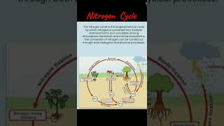 Nitrogen  Cycle  || biology  ICSE 9  /10 , environment || #shorts #viral #youtube #gyan #education