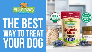 Your Dog's Favorite Treats Are Getting More and More Popular