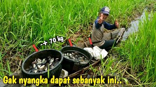 angkat bubu terbanyak di hutan larangan sampai pesta panen jutaan ikan