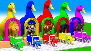 5 Giant Duck Cartoon, Cow, Mammoth, Elephant, Lion, Paint Wild Animals Crossing Fountain Animation