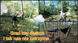 Jesienne wykopki w lesie ⛏️ + pogoda w kratke 🌧