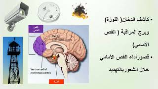 محاضرة مقاومة الضغوط