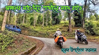 Mairunggaon to Charkhole | Offbeat Kalimpong tour #livinginsolito