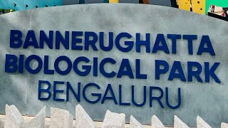 Bannerughatta Biological Park Bengaluru #park #banglore #bannerughatta #mysore