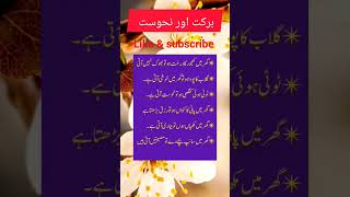 برکت اور نحوست کس کس چیز میں#shortsviral #islamicshort #youtube