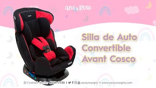 Conoce la Silla de Auto Avant Cosco