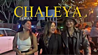 Chaleya Song | Shah Rukh Khan | Dance Cover -Rakesh Sunar| | Nayanthara | jawan #chaleya #srk