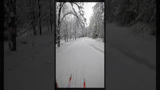 Ski trip in the winter forest. GoPro10