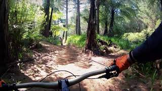 Pirongia MTB