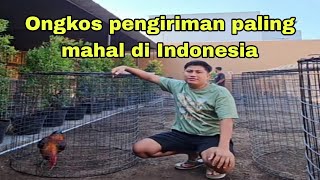 Ongkir paling mahal diwilayah Indonesia