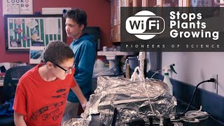 WIFI stops plants growing - PIONEERS OF SCIENCE - School experiment