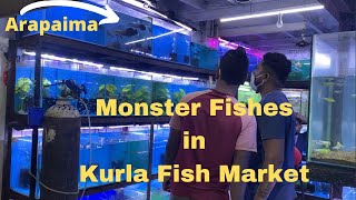 Monster Fishes at Aqua Planet |Kurla fish market | Arapaima Fish | Stingray | Archer Fish| Arowana|