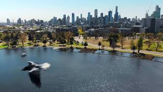 Drone flight over Albert Park Lake - Melbourne, Australia