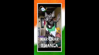 milo ❤️/HAR GHAR TIRANGA / microwise vlog #shorts