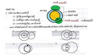 2การให้เหตุ