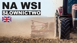 Learn Polish Vocabulary - In the country 1 (Na wsi)