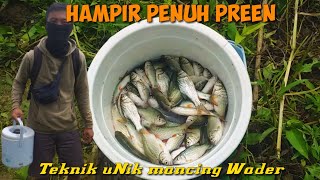 Mancing ikan wader sirip merah spot batas kota purworejo-kebumen