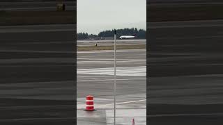 Delta Embraer 175LR landing at Seattle International Airport #planespotting #deltaairlines ￼