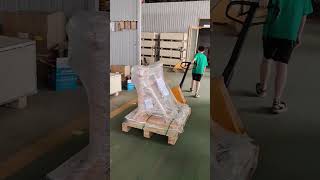 little brother helped carry the products with pallet truck