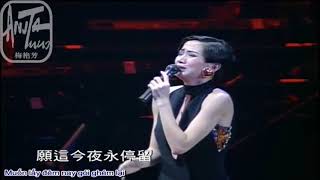 [vietsub] Trân Trọng Lúc Gặp Lại Nhau 珍惜再会时 | Anita Mui 梅艳芳| Mai Diễm Phương