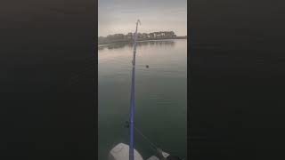 Walleye caught on a sucker minnow #walleye #fishing #fishingvideo #southdakota