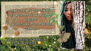 Nature Witchcraft: Transferring a Tree Spirit, A Ritual For Fallen Trees