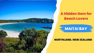 Maitai Bay Beach - A Hidden Gem for Beach Lovers, Northland New Zealand