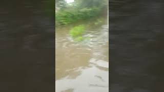 Ahoada East & West LGAs in Rivers state submerged by flood