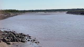 Tidal bore surfing @ Moncton, NB, Canada. September 21, 2021.