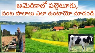 American Villages and Agriculture ఎలా ఉంటాయో చూడండి || Telugu vlogs from USA|| requested video