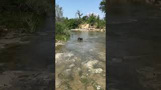 Fortworth Texas river explorer