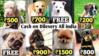 Cheapest Rates Dog Market in India😄