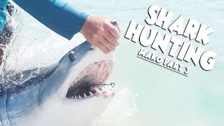 MAKO Shark caught From The Beach (LBSF) Shark Fishing Part 3 of 3