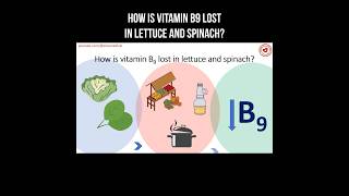 How is vitamin B9 lost in lettuce and spinach? #vitaminb9 #b9 #salad #lettue