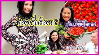 ตอบคำถาม ท้อง? กี่เดือนแล้ว? / เก็บมะเขือเทศ ให้ฝรั่งทำสปาเก็ตตี้ทานเป็นอาหารเย็น/ ชีวิตในอเมริกา