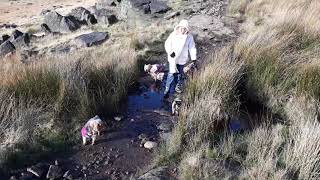 MARSDEN WALK