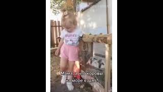 КОРОВЫ НА МОРЕ #shorts