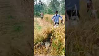 Ripper binder #virelvideo #automobile #farming #shortfeed #song #punjabi