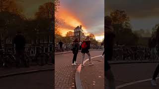 Dreamy sunsets of Amsterdam! ✨🌅 #shorts #viral #shortvideo #shortsvideo